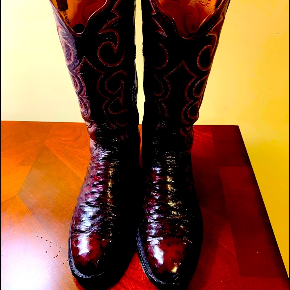 Beautiful Vintage Full Quill Ostrich TO Stanley’s